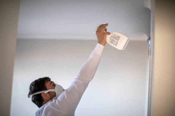 Reliable York Harbor, ME Mold Remediation Solutions